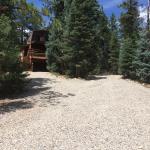 Two of the three driveways up to the cabin.  The left (West )is very steep; the center not as much leads to parking.  Not shown is the East drive that  loops to the West drive.