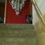 Large dreamcatcher at top of stairs came with the furniture.  Memphis likes to run up and down the stairs although that is not good for his back.