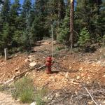 Very rare to see fire hydrants in any mountain cabin community.  This one is located at our front property line.  Underground utilities serve the community as well.