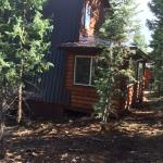 Original open deck at rear of cabin was recently enclosed.  Access through sliding glass door from the master bedroom.  Makes a nice morning sunroom.  Could be a sitting room or art studio.