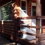 Sun room is an enclosed rear deck.  Deer are seen every day through large windows.  Typically, one doe naps about 20 feet from the cabin.  It is not uncommon to see 2 does and 2 to 3 fawns.