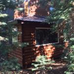 Large windows look to back of the lot where numerous deer can be seen throughout the day drinking from the water troughs or napping under the pines.